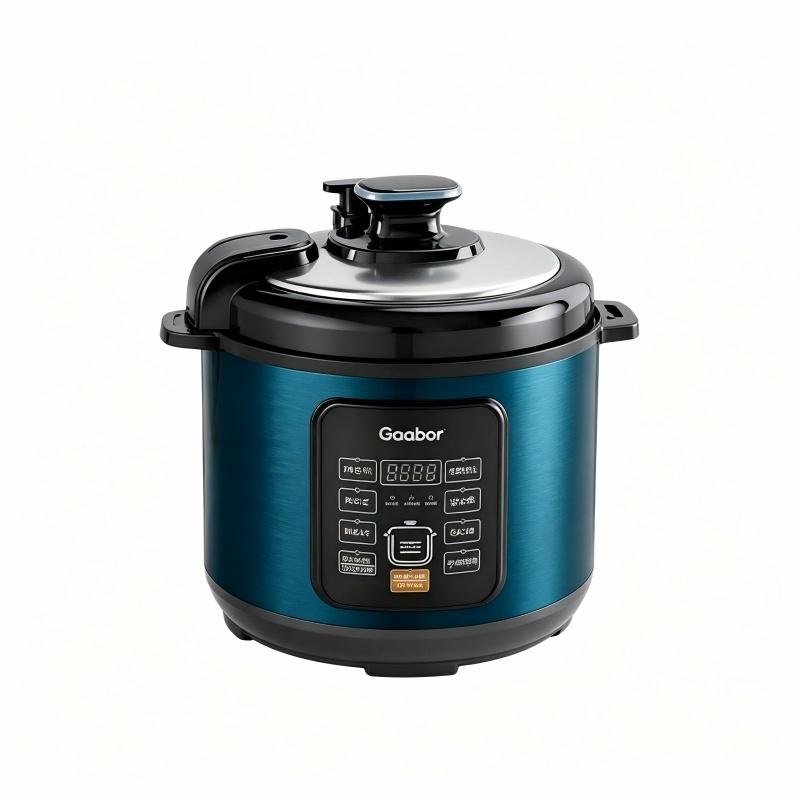 Gaabor Multifunctional 6L Electric Pressure Cooker 1000W 8 Functions RC-S60E01A