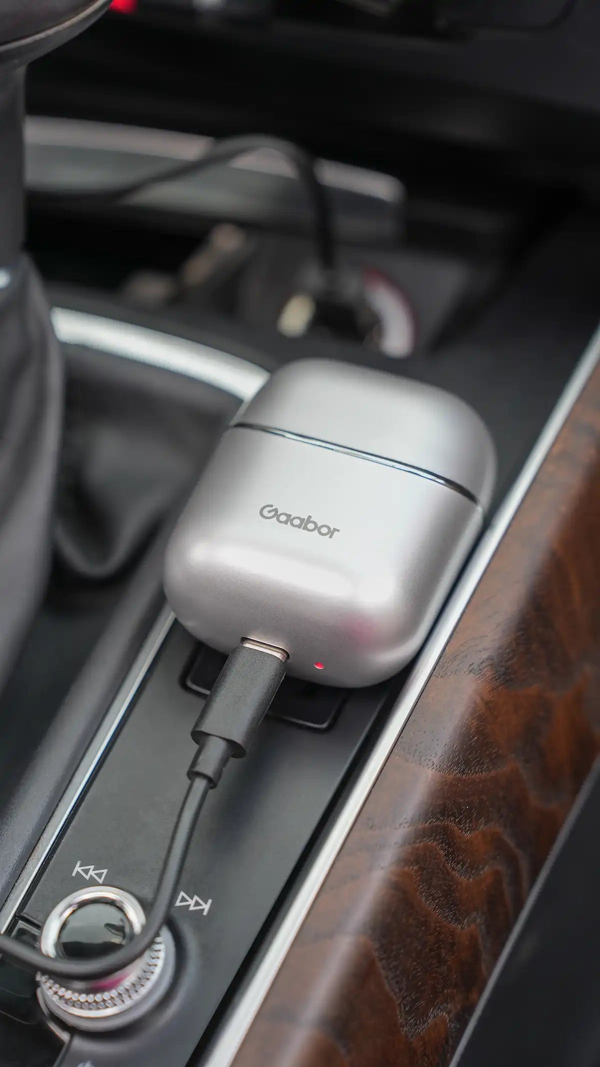 Gaabor Silver Pocket Electric Shaver and Razor for Men ER-T01A