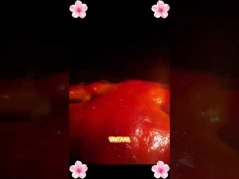 Gaabor Fritadeira Sem Óleo Air Fryer Eletrica​ 4,2L AF-45M02A